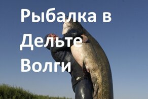 Рыбалка в Дельте Волги. 3 часть