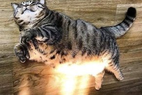 Хороших фото пост