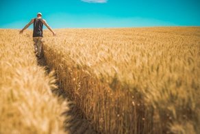 Главные законы октября, которые изменят жизнь многих россиян
