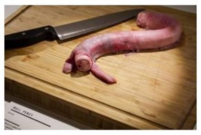 Бычий пенис, дуриан и кое-что еще: в Швеции открывают музей отвратительной еды