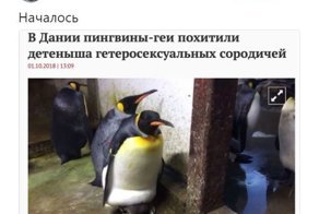 Самые свежие новости с сарказмом ORIGINAL* 02/10/2018