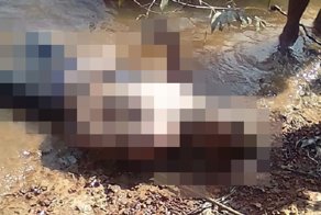 Неживой наркоторговец с золотой цепочкой