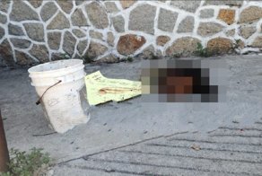 Голова женщины найдена на улице в Мексике