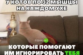 Картинки с надписями для настроения