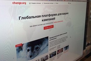 Почему не надо подписывать петиции на change.org