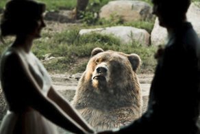 Реакция медведя на поцелуй молодоженов