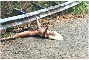 Секс-куклу приняли за труп и вызвали полицию