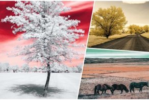 Инфракрасная фотография: когда обычные пейзажи превращаются в инопланетные