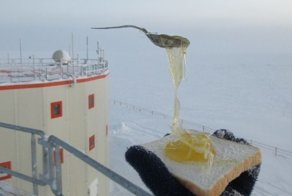 Конкордия: эксперименты с едой продолжаются