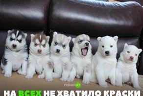 Картинки с надписями для настроения