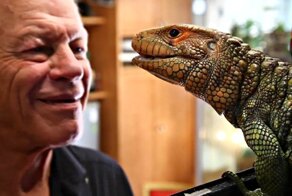 Француз держит у себя 400 рептилий