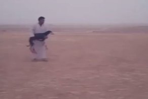 С таким пёсиком лучше не шутить