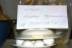 Особенности рациона питания офисного планктона