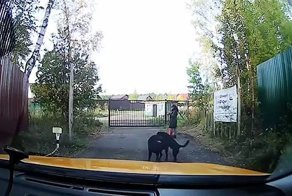Быдло-таксист, который не любит собак и курящих женщин