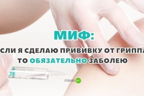 5 главных мифов и заблуждений о прививках, в которые люди до сих пор ошибочно верят