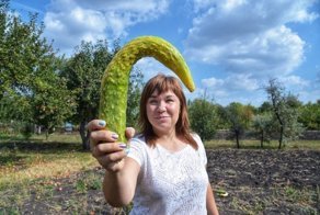 Суеверия и приметы: каждый сходит с ума по-своему, но в чём-то мы все одинаковы