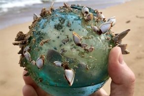 25 удивительных находок, сделанных совершенно случайно