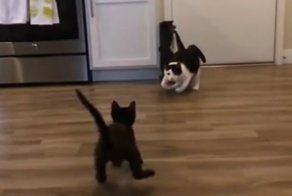 Когда молодость встречается с опытностью 