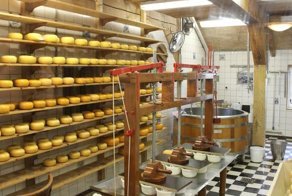 Мама воспитала бездельника и дуралея