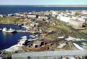 Город в осаде:  жителей Диксона терроризируют белые медведи