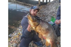 В Сызрани случайно поймали гигантского сазана. Полюбовавшись добычей, рыбак отпустил сазана обратно