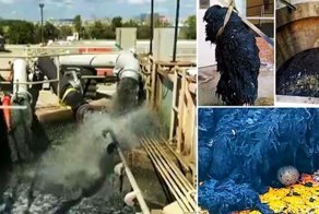 Вот как выглядят сточные воды в Южной Каролине