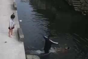 В Китае курьер спас девочку, которая упала в водоем и начала тонуть
