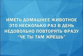 Смешные «Аткрытки»