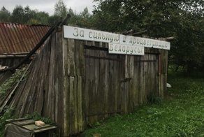 Патриотизм: не стоит путать любовь к Родине с диагнозом