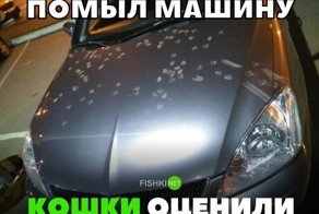 Подборка автомобильных приколов