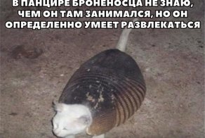 Картинки с надписями для настроения