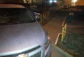 Народные мстители не дремлют: Капитошка прилетел в автомобиль