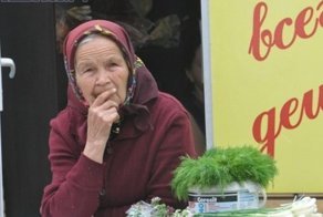 Депутат Максимова предложила ввести налог на дачные огороды