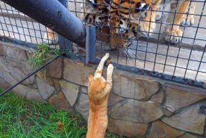 Эмоции и настроение в фотографиях