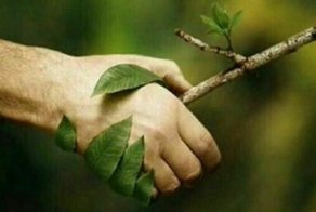 #Деньбезбумаги