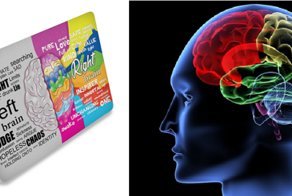 Ученые утверждают: созерцание изображения мозга улучшает настроение. Проверим?