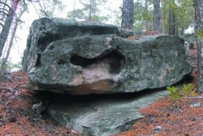 В дебрях каменного леса