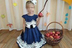 Зритель заснял на видео, как цирковой лев бросился на ребенка