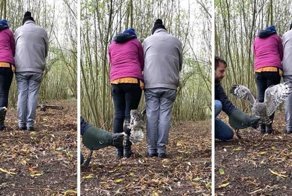 Филин ловко пролетел между стоящими плотно бок о бок людьми