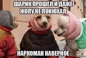 Картинки с надписями