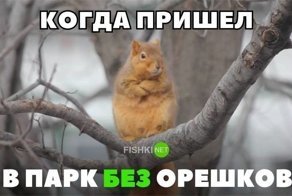 Картинки с надписями для настроения