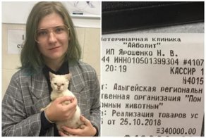 Студентка из Майкопа погасила долг приюта в 340 тысяч рублей, чтобы пристроить туда котенка