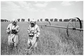 Страшная профессия - искать убийцу-невидимку