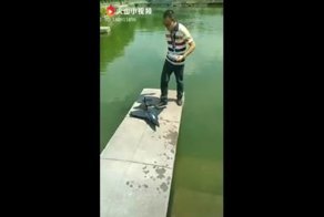 Китайское качество бывает разным