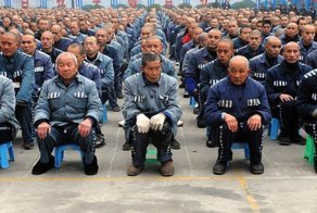 Сети от земли до неба. В Китае нашли способ победить терроризм