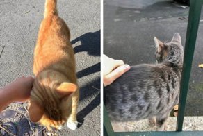 Сотрудники, которым начальство все равно не поверит