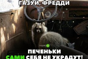 Подборка автомобильных приколов