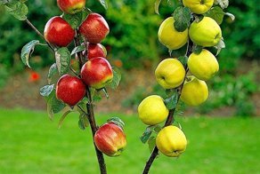 О халяве от государства: а куда уходят наши деньги