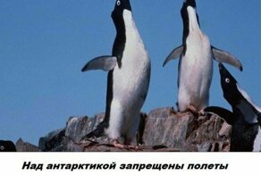 Бесполезные факты