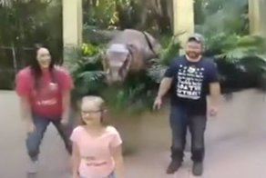 Не бойся, он не кусается!
